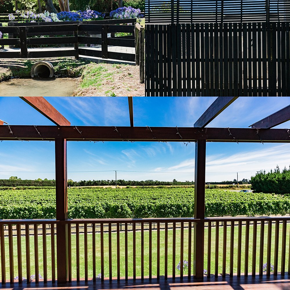 Vineyard backdrops for wedding photos at Melton Estate Wedding Venue
