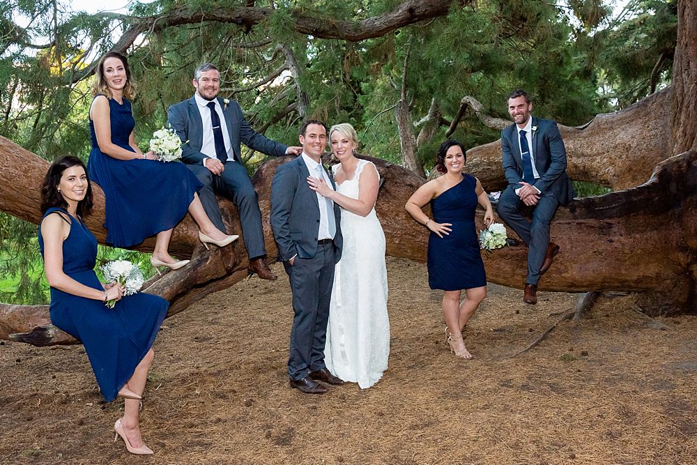 The Gym Art Centre Wedding-bridal party in front of popular large tree in Botanical Gardens-Christchurch 